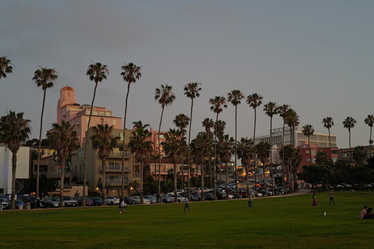 people walking on the street