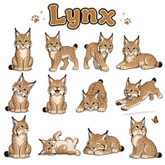 Lynx Wild Cat Line Art Vector Icon Set, Feline Wildlife Outline Illustration Collection © imran