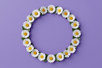 A circle of daisies on a purple background © He