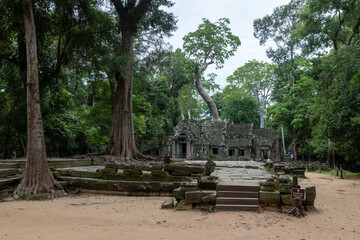 Fototapeta premium Ta Prohm temple in Siem Reap, Cambodia, is overgrown with trees, showcasing the jungle's reclamation of ancient Khmer architecture. Tourists explore the historic site.