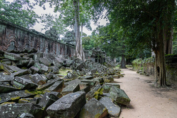 Fototapeta premium Ancient stone ruins overgrown with moss and trees at Ta Prohm temple in Siem Reap, Cambodia. The temple is famous for the trees growing out of the ruins.