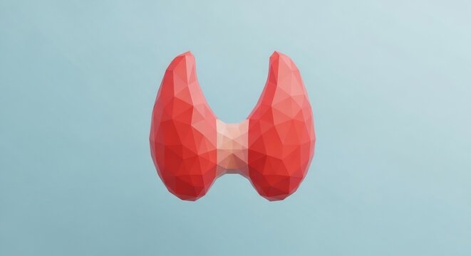 Anatomical Model of the Thyroid Gland on a Blue Background.
