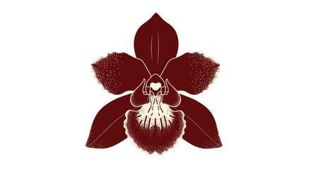 A detailed illustration of a dark red orchid flower with a white patterned center. © Lituhayu