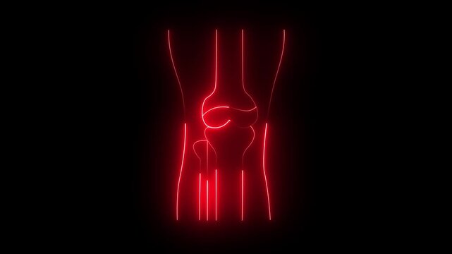 Joint glowing neon line animation. Cartilage animated icon. Squeezing leg, extending. X ray, bones. Physiology, anatomy. Isolated illustration.