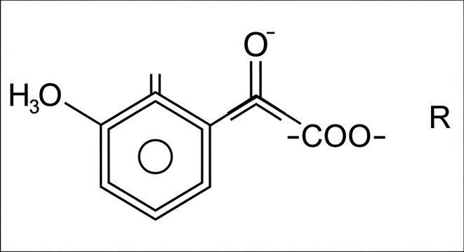 Chemical Structure of a Methoxybenzoic Acid Derivative with Carboxylate Group.