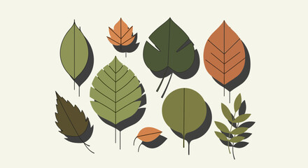 Fototapeta premium Collection of various stylized deciduous leaves with distinct vein patterns and earthy color palettes on a cream background, perfect for nature-themed designs