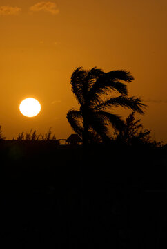 atardecer en holbox