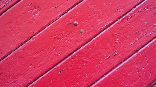 Old red painted wooden plank background with diagonal boards, thick glossy peeling paint, scratches, nail heads and worn rustic texture, frontal close-up of vintage material backdrop, no people