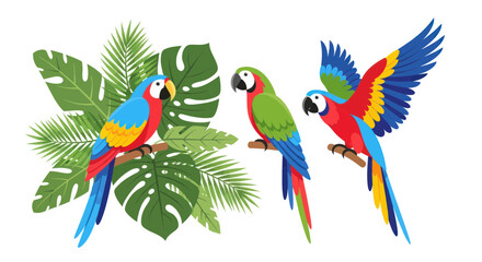 Colorful Parrots on Tropical Leaves Illustration. © ninis