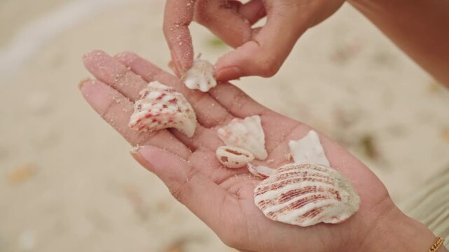 Asian woman fingers arranging shells on beach, sandy palms and close inspection of pink scallop and conch pieces, delicate touch with gold bracelet, playful sorting motion, sunlit warmth, vacation