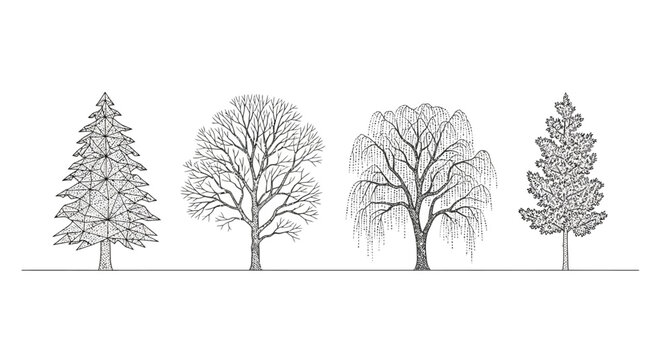 illustration of four different types of trees in a row on white background