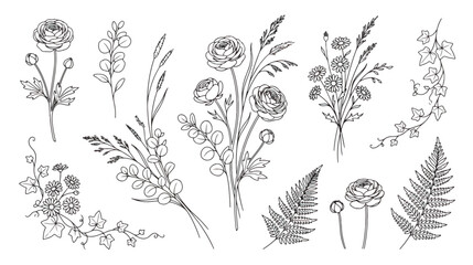 Minimalist botanical line art collection, hand drawn floral sketches with wild flowers and fern leaves, elegant black and white vector illustrations © Dream Time Studio