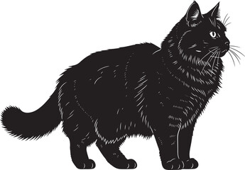 A black cat stands facing right with a long fluffy tail and white eyes on a white background in a digital illustration with bold lines and texture © Baby