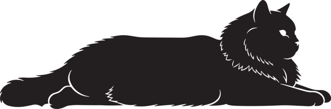 Black cat lying down in a relaxed position with fluffy fur