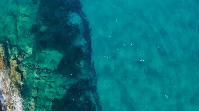 Aerial Top Down View of Freediver Swimming in Crystal Clear Turquoise Water Near Rocky Coast and Reef at Voidokilia Beach, Messinia, Peloponnese, Greece