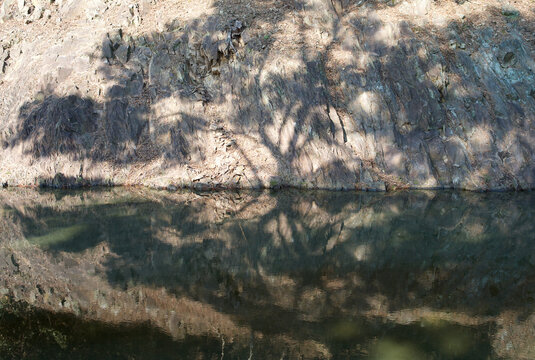 Tree shadows on a rocky cliff with water reflection shot on a vintage CCD sensor