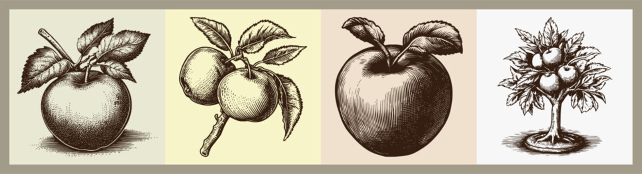 Artistic Sketch of Apple and Apple Tree in Vintage Illustration Style