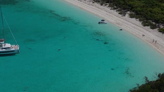 Aerial pull back shot of swimming pigs at Pig Beach