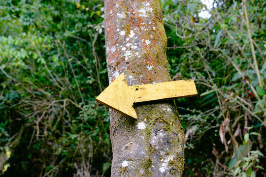Directional arrow sign marking forest trail route with selective focus