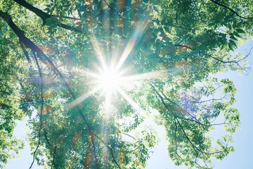 夏の太陽の暑く強い日差し　木々の葉から差し込むさわやかな木漏れ日の光とキラキラの輝く明るい丸ボケと光芒　アウトドア・夏休み・日焼け・バカンス・旅行・洗濯のイメージ背景　 © tenpadasi