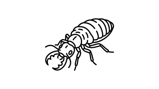 Detailed line art illustration of a termite soldier.