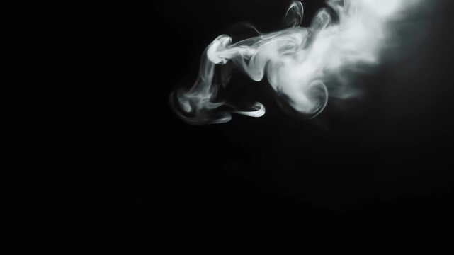 White smoke plume rising against black background abstract vapor texture dark moody atmospheric ethereal ghostly swirling cloud design element