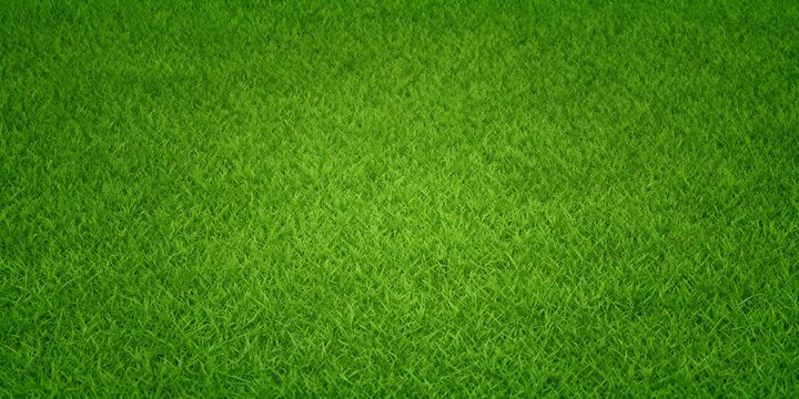 Green grass seamless background texture. Aerial top view of green turf surface from a garden lawn, football pitch, sports field.