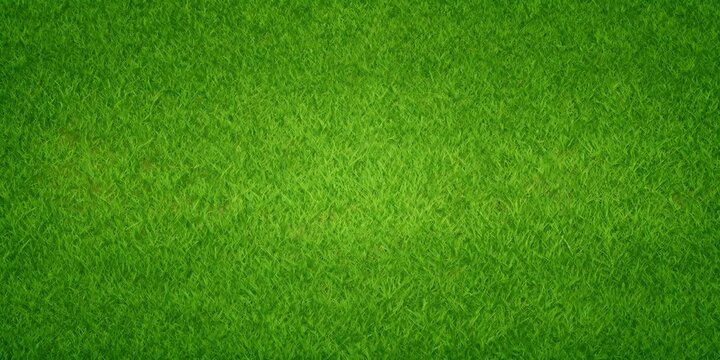 Green grass seamless background texture. Aerial top view of green turf surface from a garden lawn, football pitch, sports field.