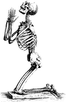 Antique engraving of a human skeleton in kneeling praying pose