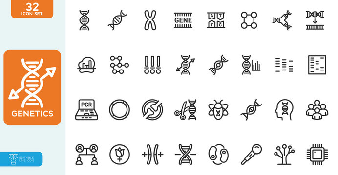 Genetics Vector illustration line editable icons set. Containing genetic, DNA, gene, chromosomes, heredity, genome, biology, GMO and more. on white background.