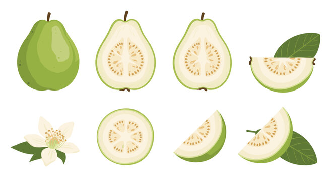 Comprehensive guava fruit set featuring whole fruit, halves, slices, a single white flower, and fresh green leaves.