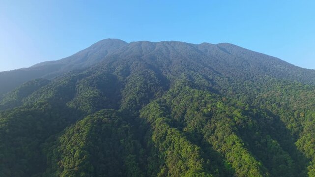 This cinematic drone footage flies low across the ridges and valleys of tropical forest in the Mount Gede Pangrango National Park area, West Java, with dense tree textures.