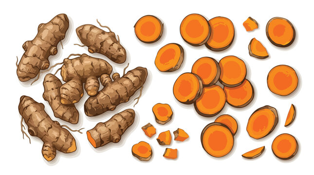 Turmeric root vector set, fresh whole curcuma rhizomes and orange slices, organic spice ingredients for healthy cooking and herbal medicine