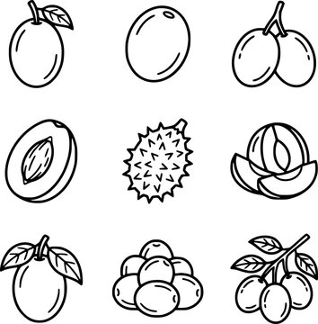 Set Ikon Buah Plum dan Durian Monokrom &ndash; Koleksi Vektor Outline Buah Tropis, Biji, Daun, dan Tandan Buah