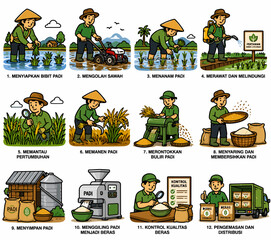 Fototapeta premium Modern Rice Farming and Rice Production Vector Set – Farmers Planting, Harvesting and Processing Rice in Flat Bold Outline Style