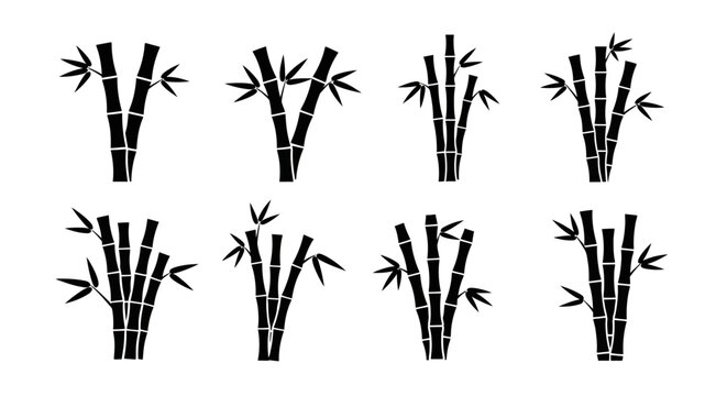 Bamboo Stalks Silhouette Collection - Vector Graphics