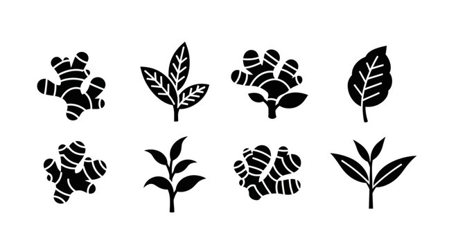 Ginger Root and Tea Leaves Icons Set