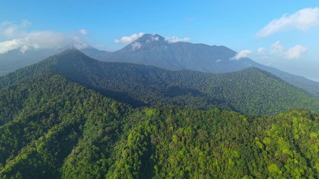 Drone footage captures a lush, green tropical forest canopy, revealing the majestic peak of Mount Gede Pangrango under a clear blue sky in West Java, Indonesia. High-quality 4K footage for nature and 