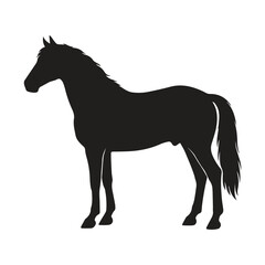 Full body silhouette of a horse standing in profile with silhouette, standing © kuhinur