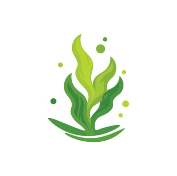 Seaweed Logo Design template Illustration Vector