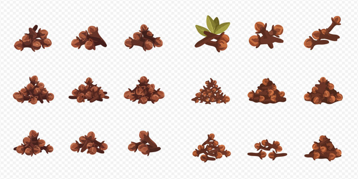 Set of dried clove spice piles, aromatic seasoning for cooking and baking, vector illustration.