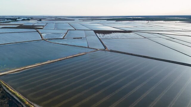 Aerial view of the flooded rice fields of Isla Minima with geometric patterns and water reflections in the Guadalquivir marshes, La Puebla del Rio, Andalucia, Spain.