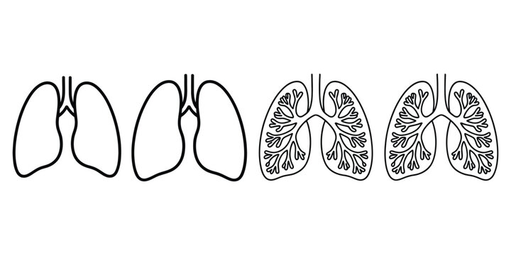 Adobe Illushuman lungs icon set, lung organ respiratory system symbols for breathing airways anatomy health medicine and healthcare education vector illustration isolated design.trator Artwork