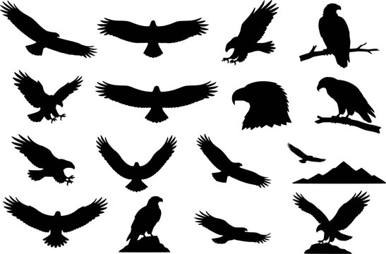 Eagle hawk flying silhouettes vector icon set isolated