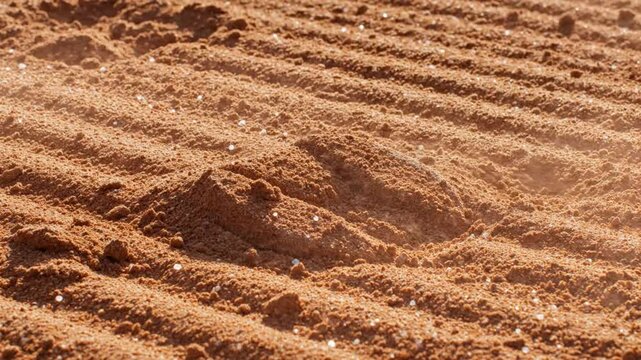 Close-up of a horse hoofprint in freshly raked red clay soil with particles of dust floating