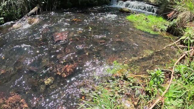 Paisaje de naturaleza, un riachuelo cerca de la presa Iturbie en M&eacute;xico.
