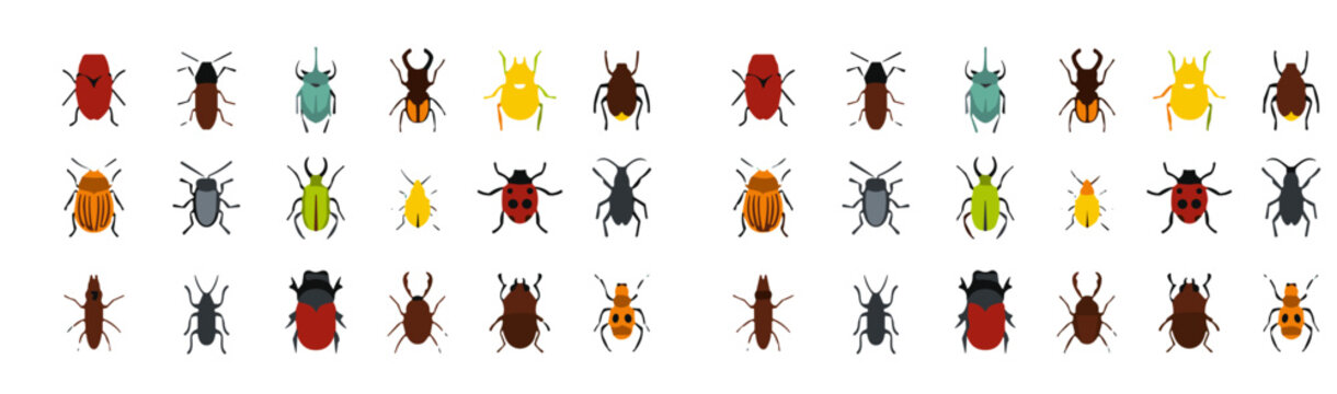 Hand Drawn Colorful Beetle and Bug Insect Collection Vector Set