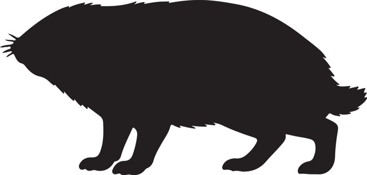 Black silhouette of a standing groundhog isolated on white background