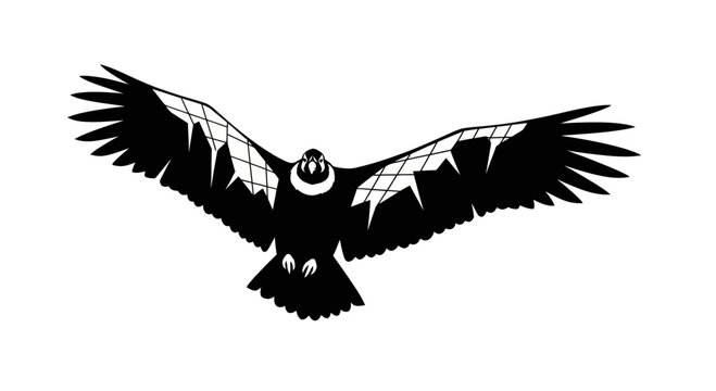 Andean Condor Silhouette Flying with Wings Spread Wide
