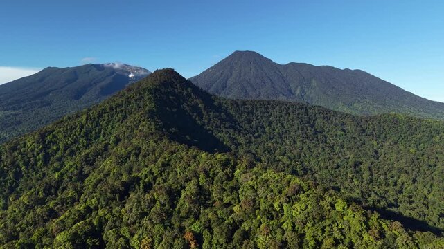 Cinematic aerial drone forward shot of Mount Gede Pangrango covered in lush green tropical rainforest under clear blue sky, Bogor, West Java, Indonesia.